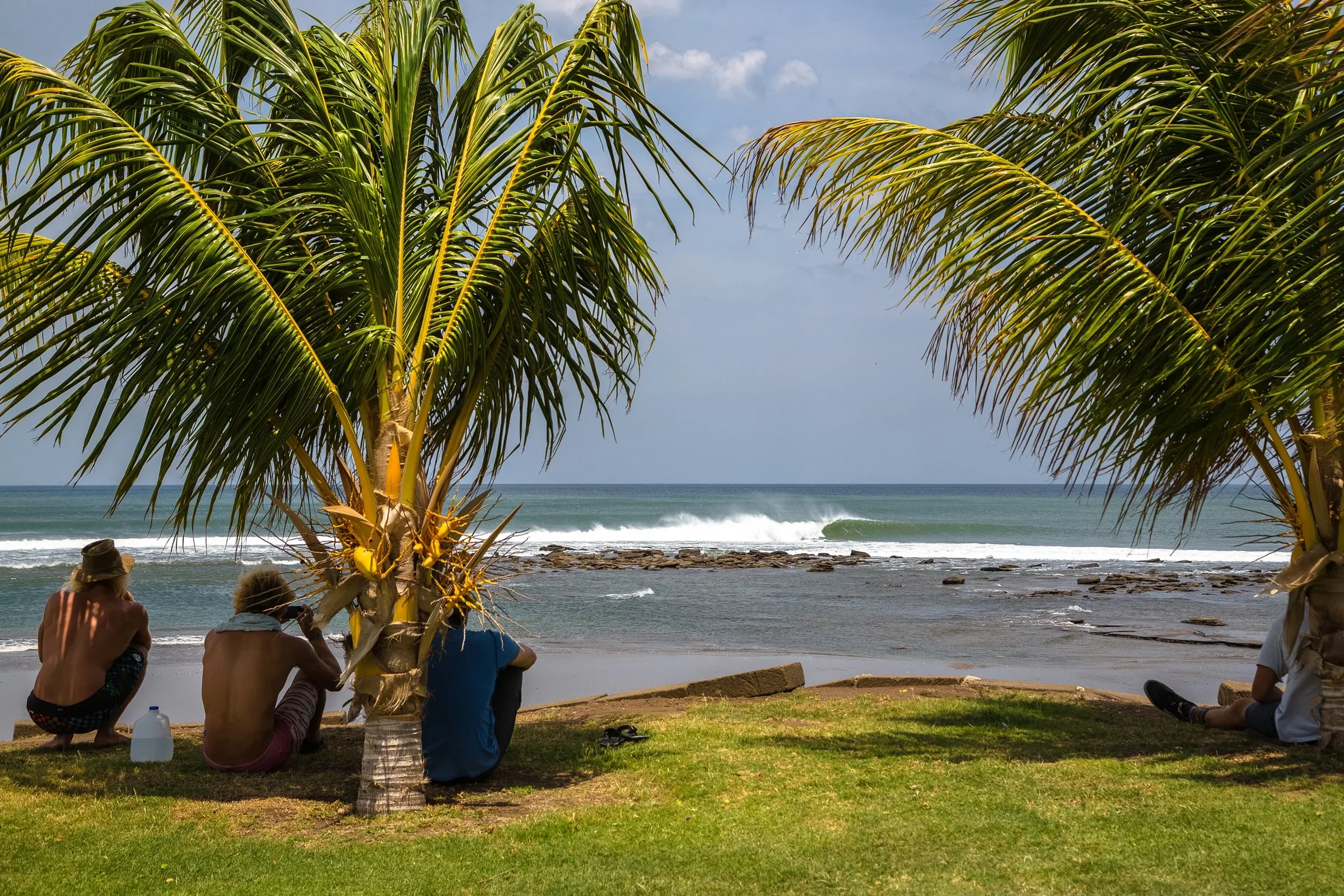 People sitting under palm trees on a grassy area, looking toward the ocean with waves and rocks, on a sunny day.