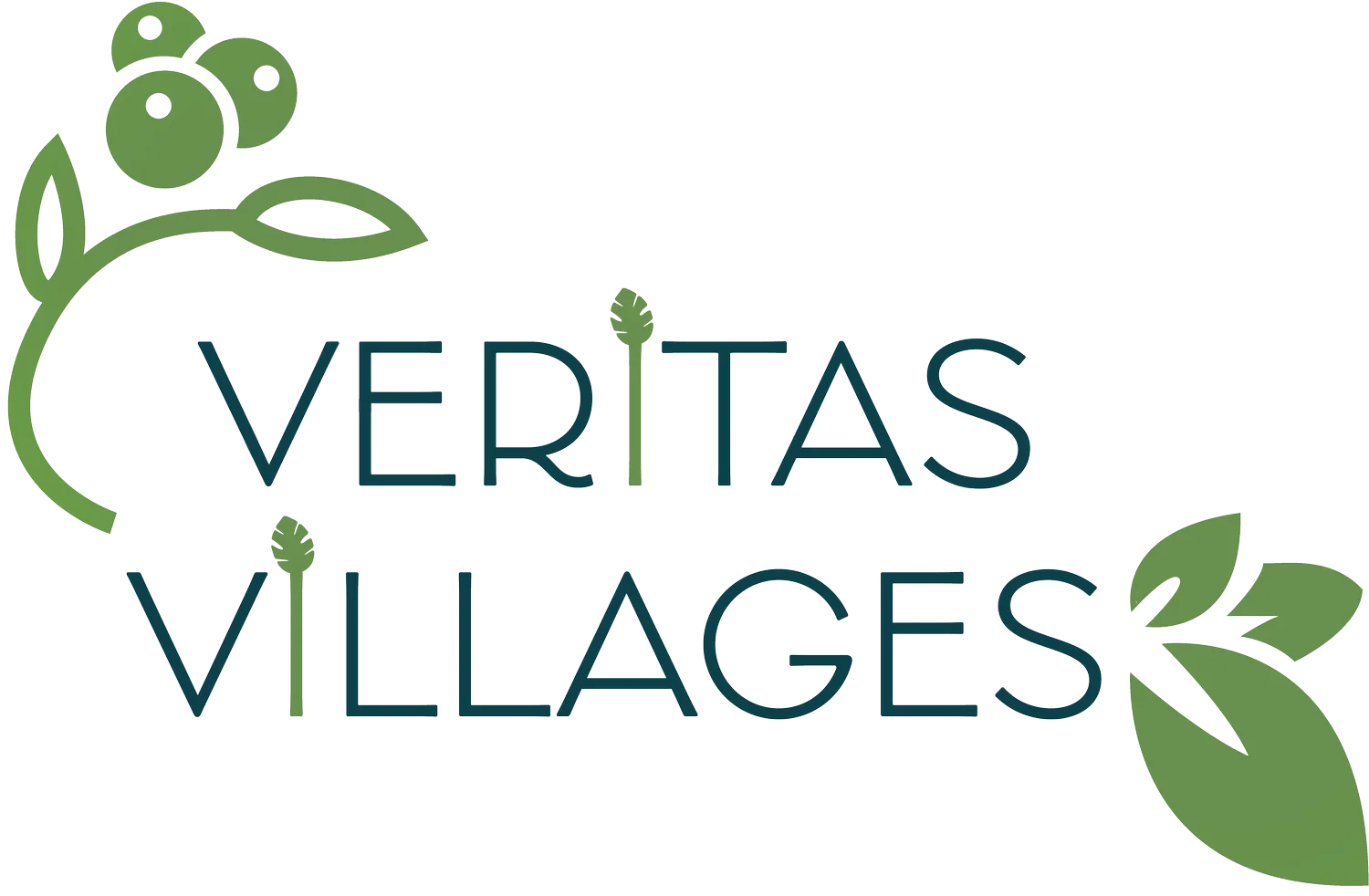 Veritas Villages