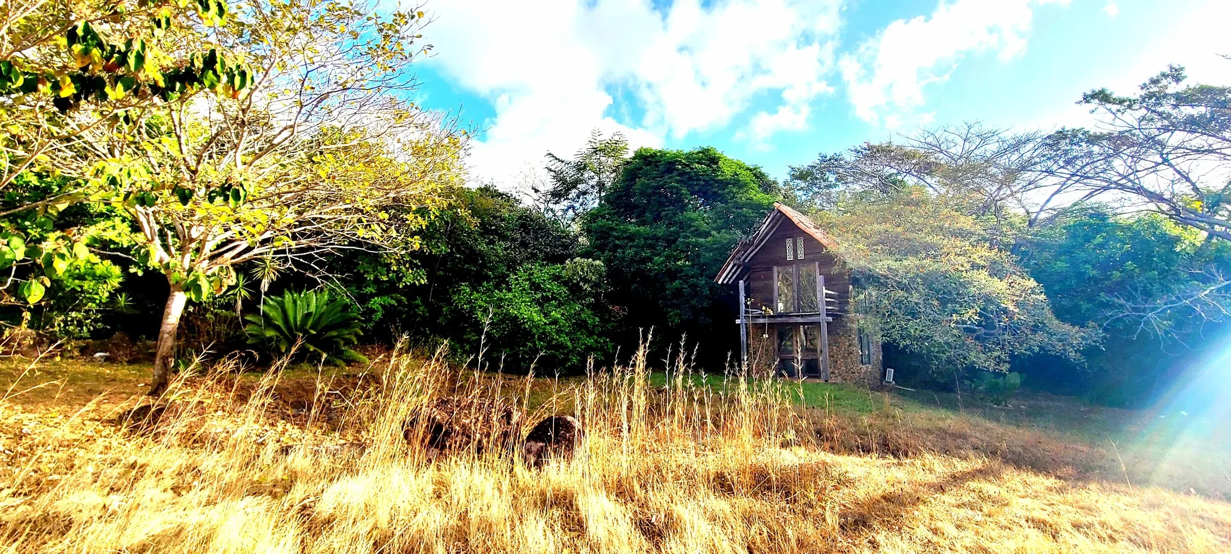 A rustic house with a stone base and wooden upper structure is set among lush green trees on a sunny day. Tall dry grass covers the foreground, and the sky above is bright blue with scattered clouds.
