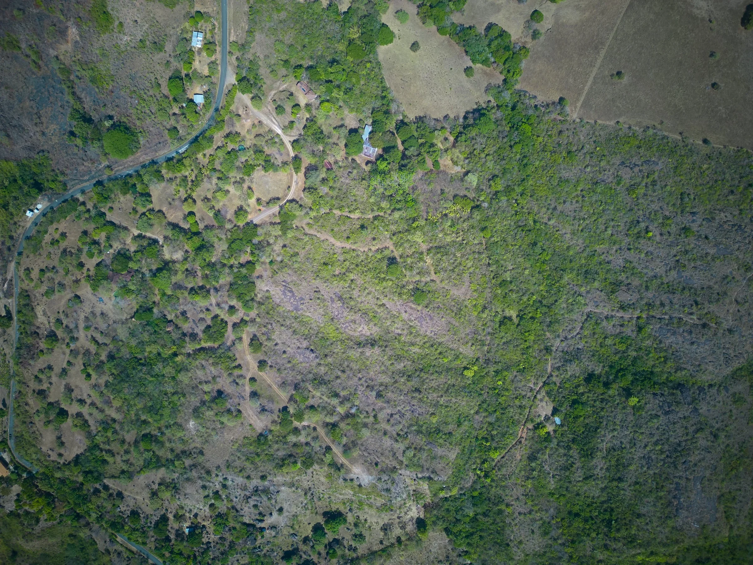 An aerial view of a semi-wooded hillside with dirt paths, small structures, and scattered trees. A winding road runs along the hillside's edge.